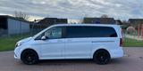 Mercedes-Benz V 300 d Aut. EDITION lang EDITION - Mercedes-Benz V 300 von privat
