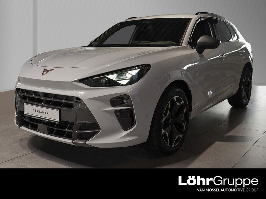 Image of Cupra Terramar