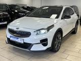 Kia XCeed Platinum Edition*Plug-in*Pano*LED*Navi*JBL - Kia XCeed Gebrauchtwagen