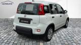 Fiat Panda 1,0 Hybrid (MHEV) Base DAB PDC - Fiat Panda in Chemnitz