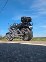 Harley-Davidson V-Road VRSCAW - Offers