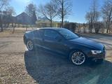 Audi A5 3.0 TFSI S tronic quattro  - Audi Gebrauchtwagen in Kempten