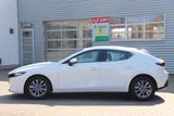 Mazda 3 SKYACTIV-G M-Hybrid Selection LED Navi Head-Up - Mazda 3 Gebrauchtwagen in Magdeburg