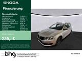 Skoda Octavia Combi 1.5 TSI ACT Soleil - Skoda Octavia Gebrauchtwagen in Freiburg
