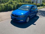Skoda Fabia 1.2l TSI 66kW Joy Joy
