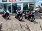 Aprilia RS457 - Verfügbar - Offers matching your search criteria