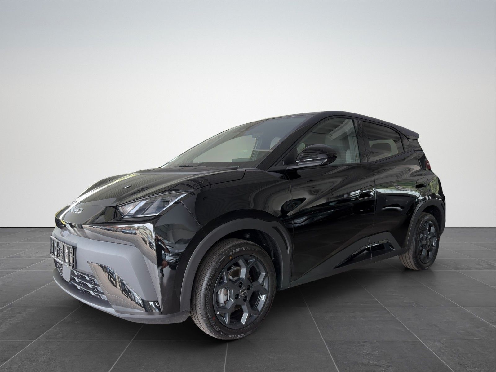 BYD DOLPHIN SURF