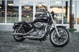 Harley-Davidson XL883L SUPERLOW SPORTSTER - Angebote entsprechen deinen Suchkriterien