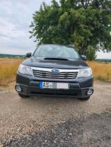 Subaru  Subaru Forester 4x4 Turbo  - Subaru Forester: Turbo