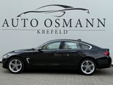 BMW 420 Gran Coupé d xDrive Aut HuD/RFK/NAVI Profess - BMW 420 Gran Coupé aus 2019