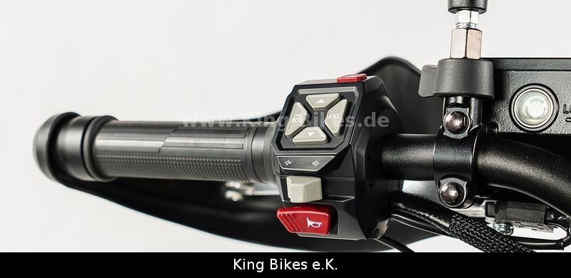 Fahrzeugabbildung VOGE 800 DS RALLY / DS800X RALLY - 3 Jahre Garantie