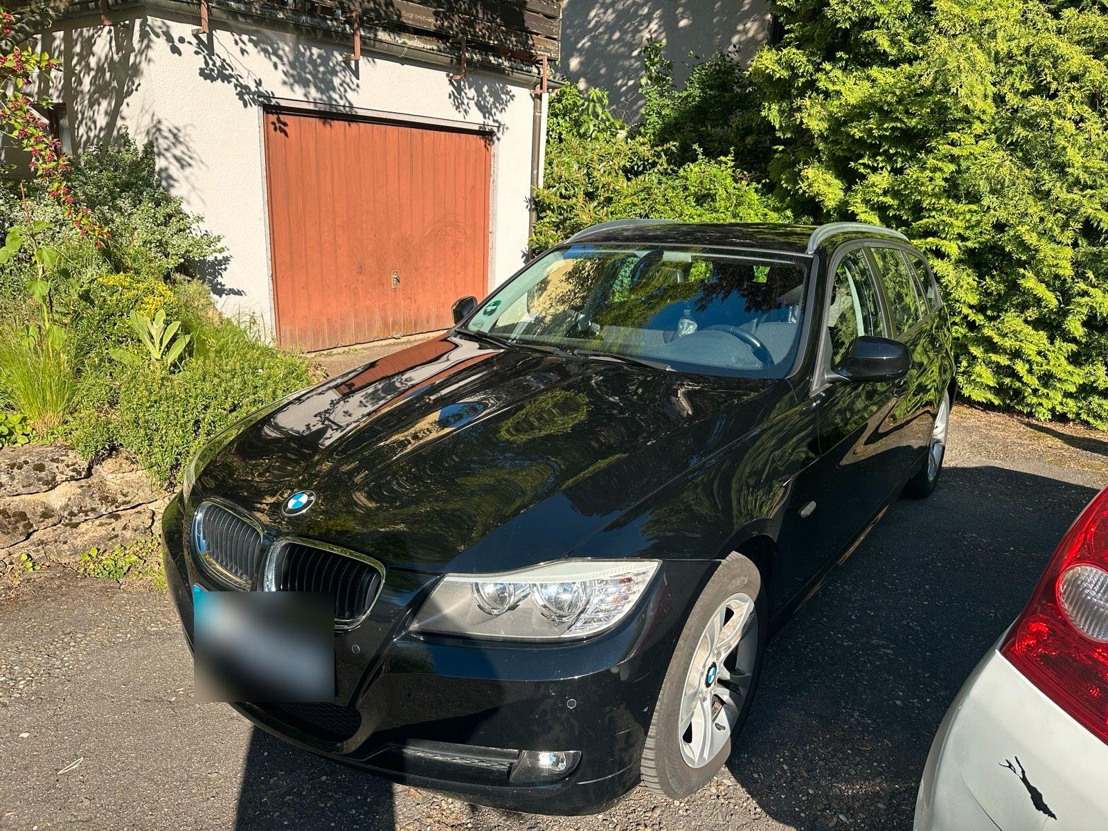 BMW 318 2010 — вигляд ззаду