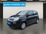 Fiat Panda 1,0 Hybrid Pandina |KLIMA |Start-Stopp - Fiat Panda Tageszulassungen