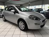 Fiat PUNTO MORE 1.2 KLIMA 8FACH BEREIFT TÜV NEU - Fiat Punto: 1.2