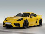 Porsche Cayman GT4 Chrono Paket Tempostat Rückfahrkamera