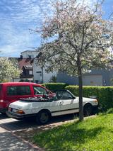 Saab 900 - Saab aus 1991