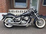 Suzuki Marauder VZ 800  - Offers matching your search criteria