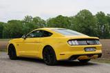 Ford Mustang 5.0 Ti-VCT V8 GT (TÜV/HU NEU) - Ford Mustang Gebrauchtwagen in Bielefeld