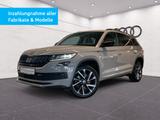 Skoda Kodiaq Sportline 2.0 TSI 4x4 DSG DCC STHZ 20"LM - Skoda Kodiaq Gebrauchtwagen in Hamburg