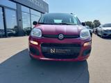 Fiat Panda 1.3 DIESEL*EASY-LINE*5-TÜRIG*KLIMA*EURO 6* - Fiat Panda aus 2014
