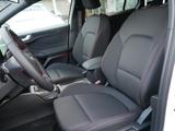 Ford Focus ST-Line Turnier +Winter +Parking +Styling - Ford Focus: ST Turnier