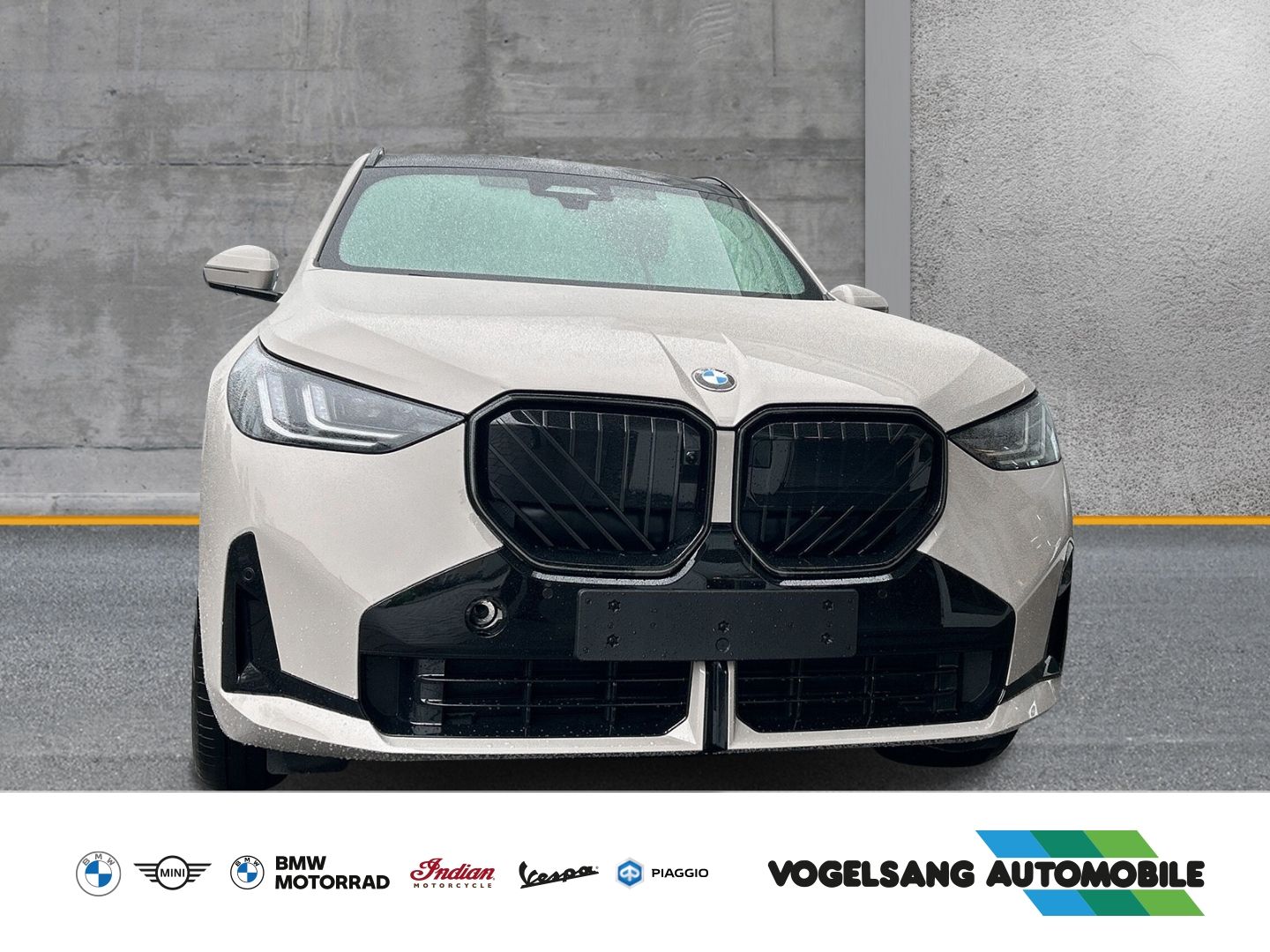 Fahrzeugabbildung BMW X3 20d xDrive M Sport G45