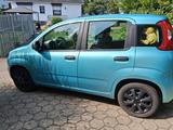 Fiat Panda 312 blau - Fiat Panda Gebrauchtwagen in Bremen
