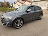 Audi SQ5 3.0 TDI tiptronic quattro - - Audi SQ5 in Wiesbaden