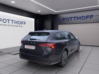 Skoda Octavia - Vorschau Bild 6