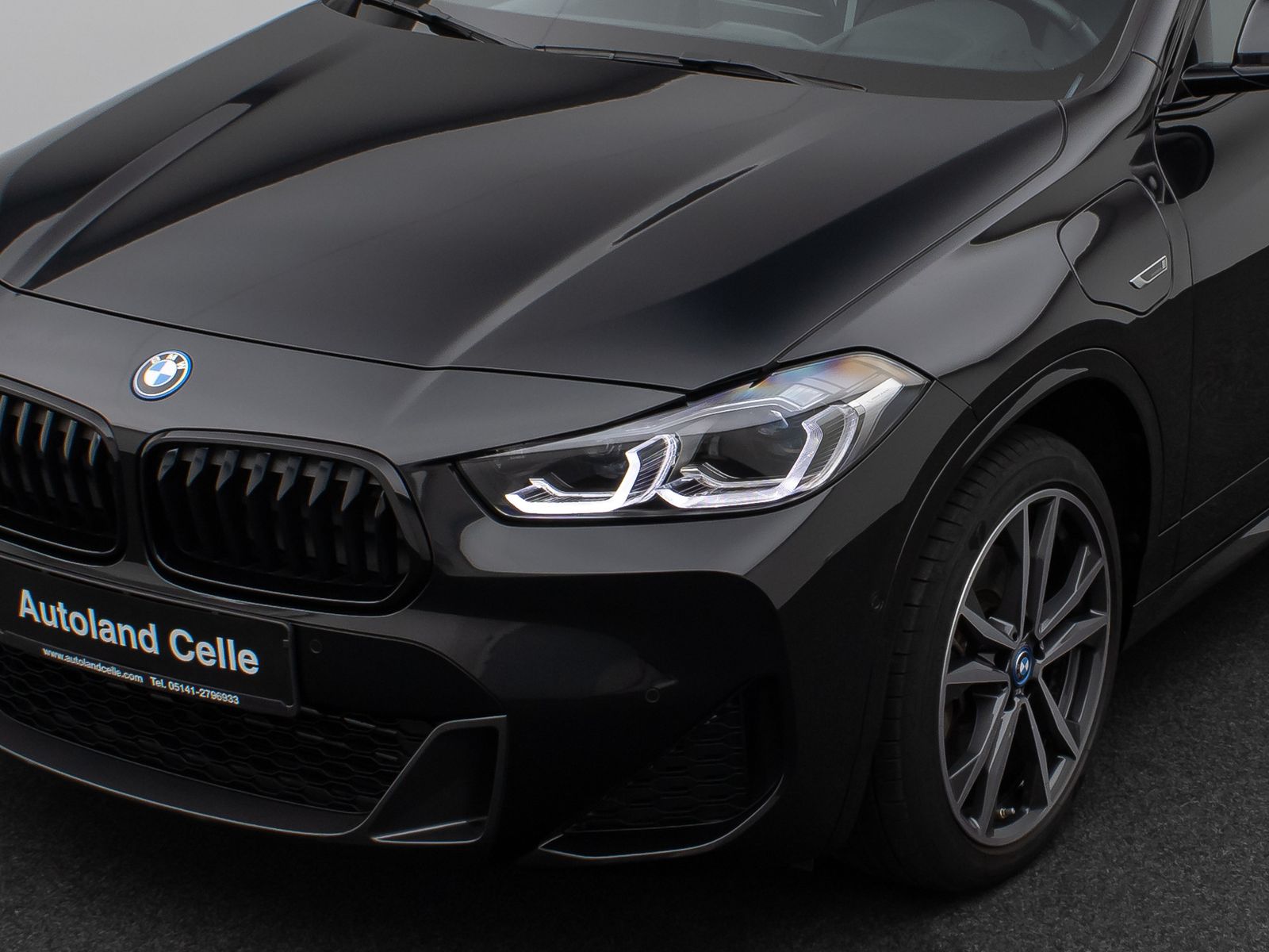 Fahrzeugabbildung BMW X2 xD25e M Sport HUD DAB Kamera Alarm Panorama