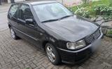 Volkswagen VW Polo 6N zu verkaufen TÜV 02 2028 - gebrauchte VW Polo aus dem Jahr 1999
