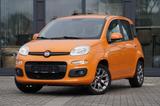 Fiat Panda Lounge - Fiat Panda: Orange