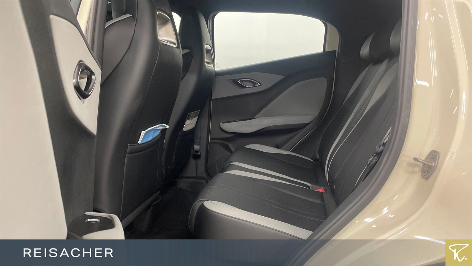 BYD DOLPHIN SURF