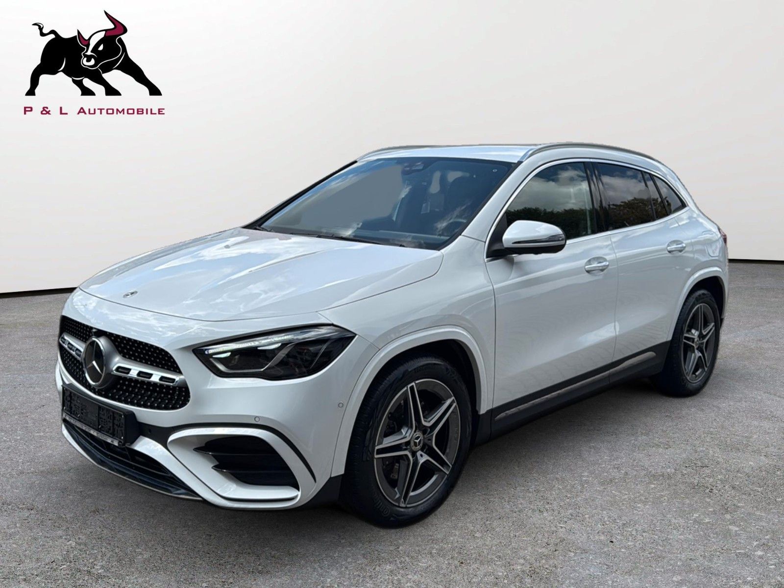 Mercedes-Benz GLA 250 4M AMG line MultibeamLED 360° Memory
