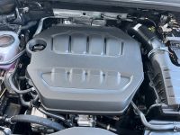 Cupra Terramar VZ 2.0 TSI DSG 4Drive PANO AHK 5J GAR bei Autohaus Landmann & Maier OHG