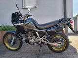 Honda NX 650 Dominator RD08 - HONDA DOMINATOR