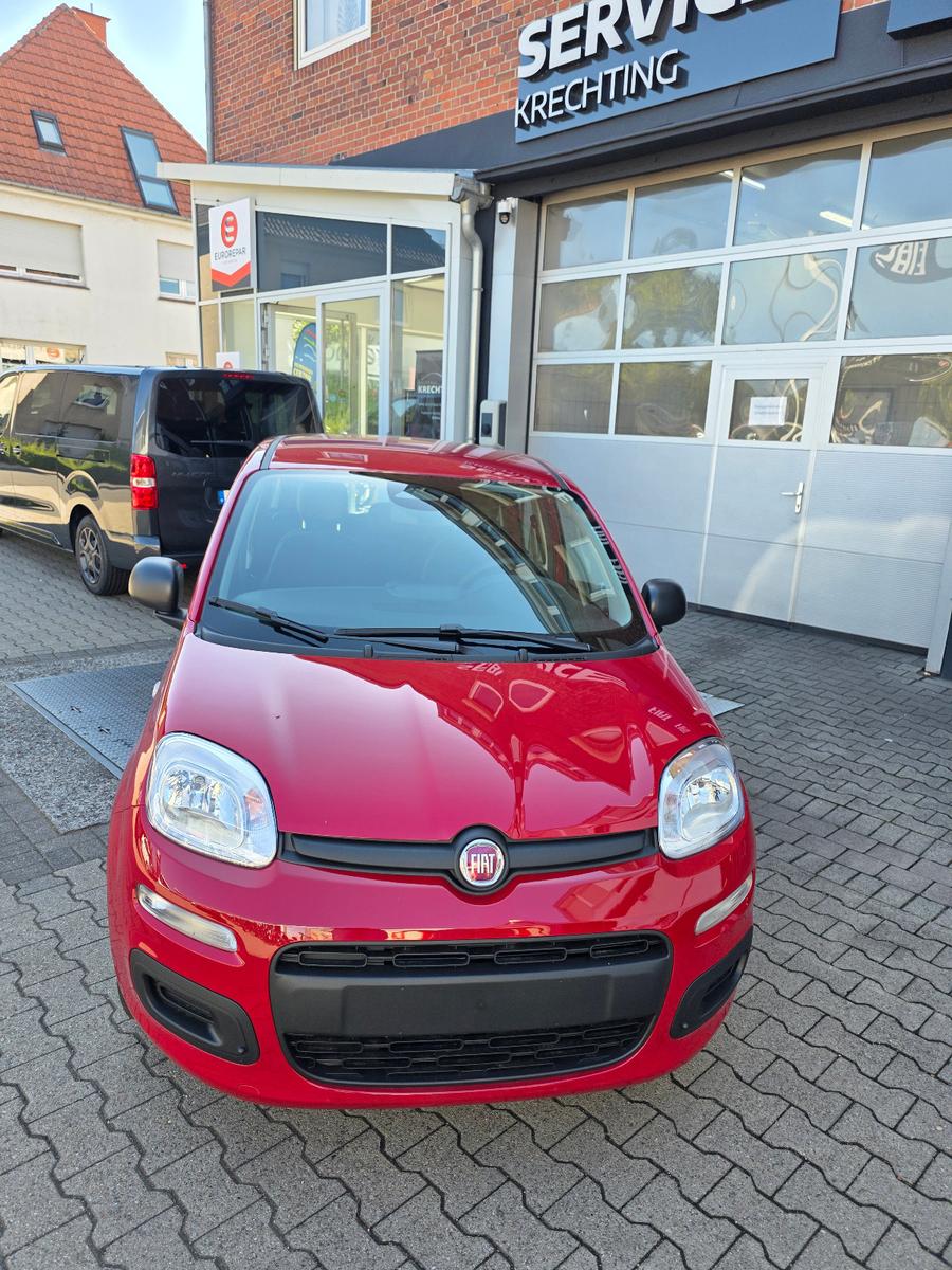 Fiat Pandina 1.0 GSE Hybrid 48 kW Icon