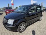 Fiat Panda 1.2 Dynamic KLIMA,TÜV 09/27,ALLWETTERREIFE - Fiat Panda Dynamic mit Benzin-Antrieb