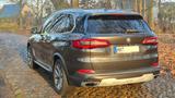 BMW X5 xDrive30d 7-Sitze Laser 360° Luftfederung AHK - BMW X5: Sitze
