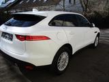 Jaguar F-PACE 3.0D AWD + AHK + Navi + TOP - Jaguar mit Diesel-Antrieb: 3.0