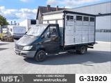 Mercedes-Benz Sprinter 411 CDI Viehtransporter - Mercedes-Benz Sprinter 411 cdi