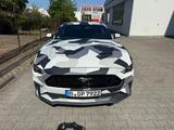 Ford Mustang 5.0 , V8 GT,Leder - Ford Mustang mit Benzin-Antrieb