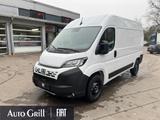 Fiat Ducato 35 L2H2 RüKa Navi CarPlay Allwetter - Fiat Ducato Neuwagen