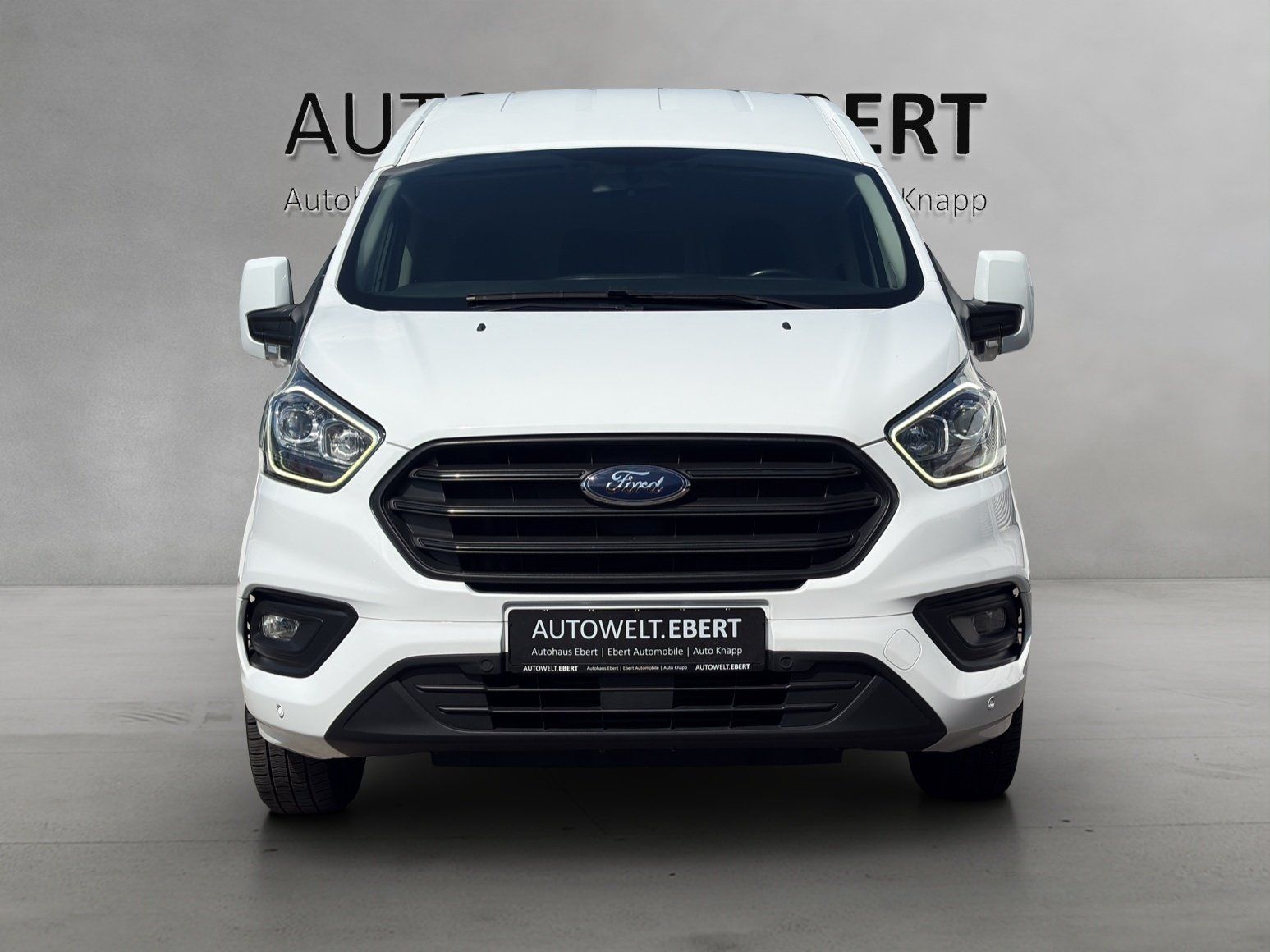 Fahrzeugabbildung Ford Transit Custom 2.0 TDCi 300 L2 KAMERA/GRA/ST-HZG