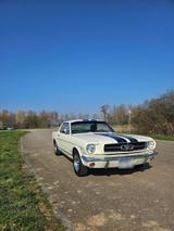 Ford Mustang  Oldtimer - Ford Mustang: Old