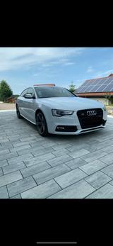 Audi S5 3.0 TFSI S tronic quattro Sportback - - Audi S5: Sportback