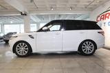 Land Rover Range Rover Sport HSE*HUD*360 Kamera*Panorama* - Land Rover Range Rover Sport: Weiß