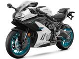 CFMOTO 675 SR-R  //A2 tauglich, 5 Jahre Garantie,Lager - CFMOTO 675SR-R