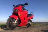 Honda VFR 800 RC46  FI | 1.Hd. | unfallfrei | Koffer - HONDA VFR800 FI