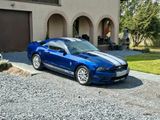 Ford Mustang S197 V6 305 PS Premium, Pony ... - Ford Mustang aus 2013: V6